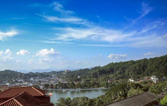 Senani BY Oak ray Restaurant & Bar